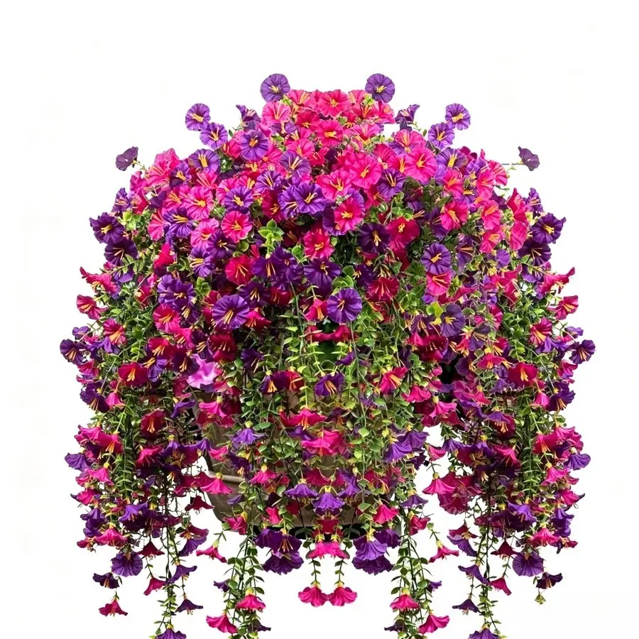 hanging citronella plant - TikTok Shop