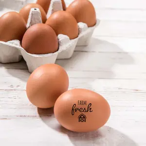 Farm Fresh Rubber Stamp / Small 3/4" Traditional Stamper / Chicken Egg Carton Stamp / Modern Barn Design / Trendy Farmer Gift