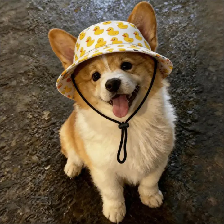 Cute Cartoon Pet Sun Hat, Breathable Ear Holes UV Protection Outdoor Cap, Summer Sun Hat for Cats Small Dogs