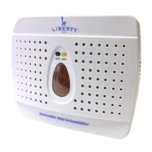 Portable Small Dehumidifier with Activated Carbon Filter for Bedroom Closet Bathroom & Liberty Safes, Mold & Moisture Control