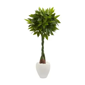 Nearly Natural 5' Money Artificial Tree in OvalPlanter