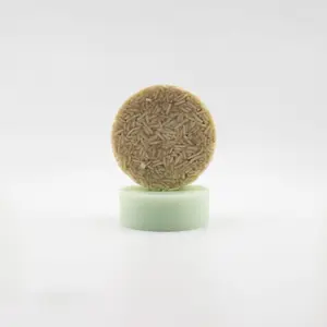 Summer Oasis Shampoo & Conditioner