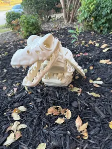 3D Printed Mosasaurs Dinosaur