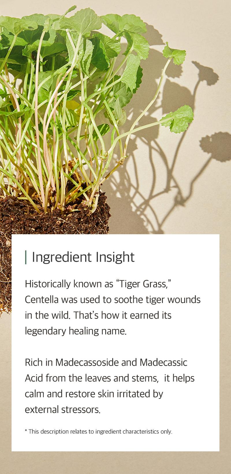 [mixsoon Official Shop] Centella Cleansing Foam 5.07 fl.oz / 150ml - Low pH cleansing foam for soothing and moisturization, Korean Glass Skin Care