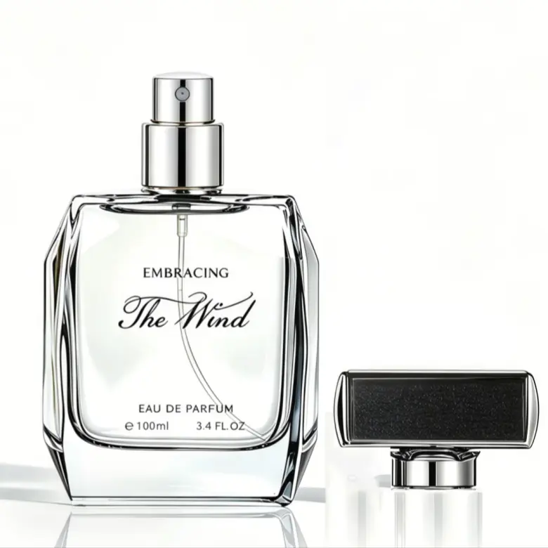 EMBRACING The Wind Men Perfume 100ml EDP, Fresh Aquatic Woody Fragrance Spray, Exquisite Box Mens Cologne Gift，Perfect for those who prefer neutral styles and love minimalist and upscale vibes | Long-lasting fragrance | Men's summer perfume