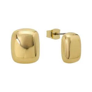 EVRY JEWELS Gold or Silver Plated Women's Mirror Mirror Earrings