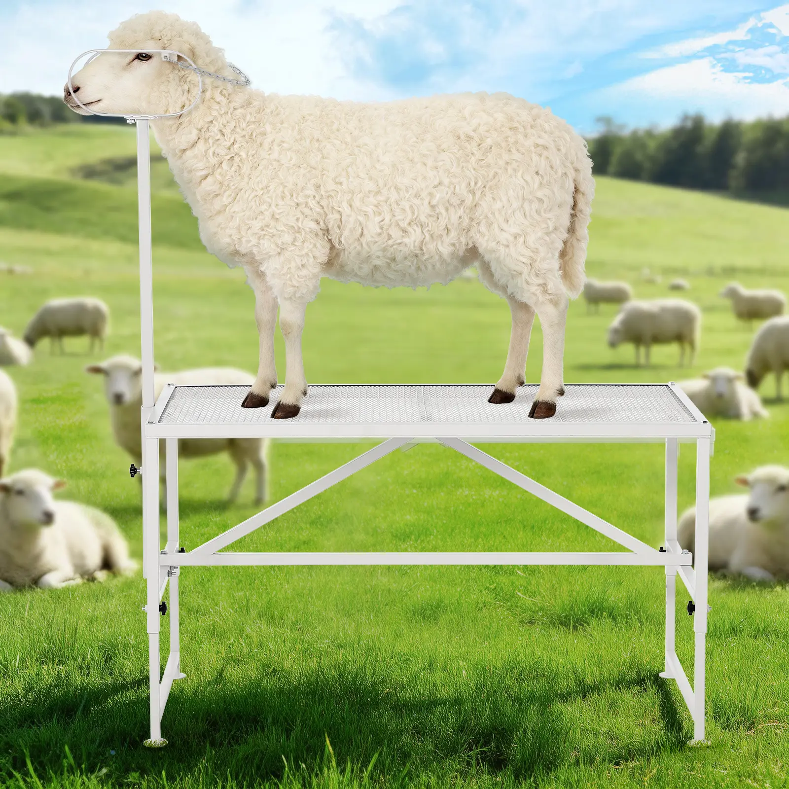 Goat Milking Stand,  Livestock Stand, Metal Sheep Milking and Shearing Stand, Adjustable Height 21"–33" with Headpiece & Nose Loop for Goats, Sheep,47"X23"