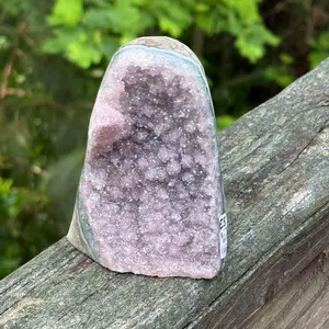 Amethyst Geode (E5) with Agate Layer - Natural Crystal Cluster Specimen