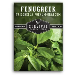Fenugreek Seed - Grow Herbs for Cooking and Health