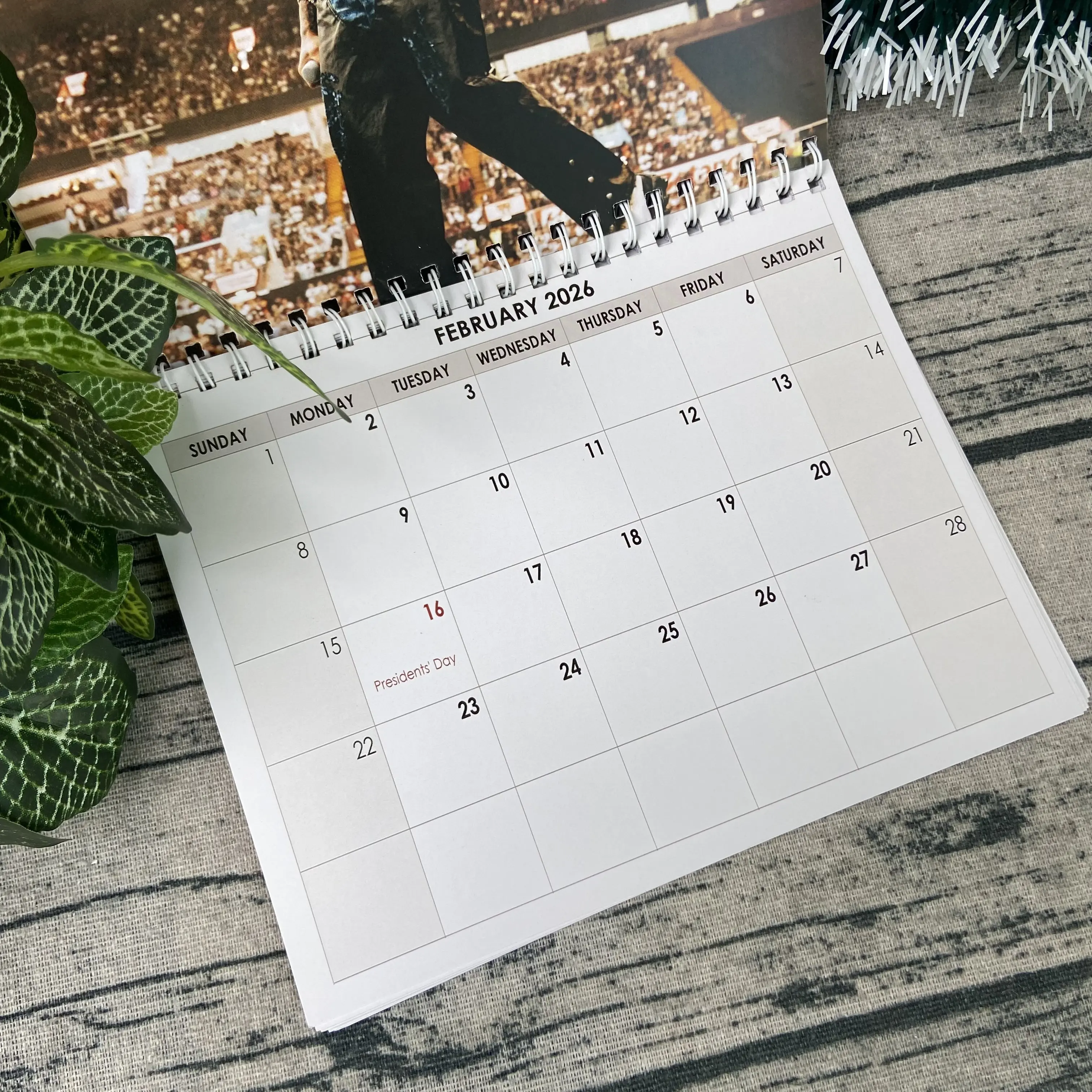 Singer 2026 Wall Calendar Christmas 2026 Wall Hanging Decor Music Gifts for Fans, High Quality Paper Large Vibrant Images Spiral Binding Centered Hole for Hanging