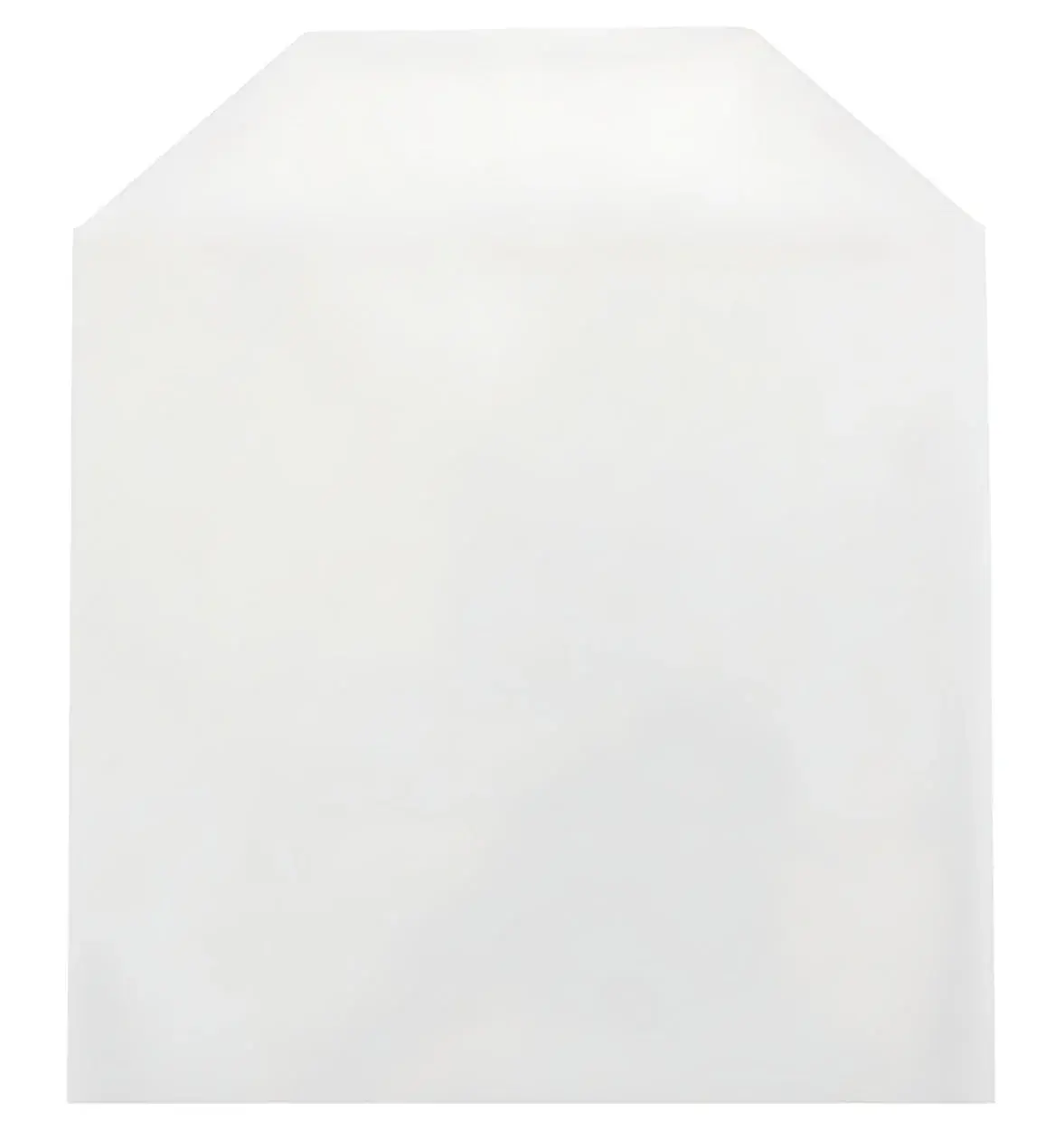 CPP Clear Plastic Sleeve with Flap (No Stitches)