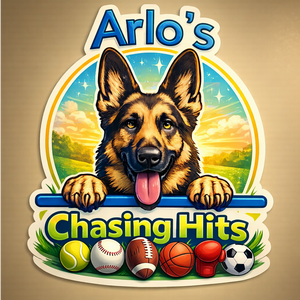 Arlos Chasing Hits
