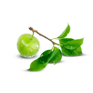 Dolce Frutti Fresh Sour Plums - Grown in California, Farm-Fresh, & Juicy
