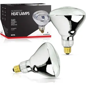 250 Watt R40 Incandescent Heat Lamp Bulb Clear Infrared E26 Base 2 Pack for Bathroom Shower Chicken Coop
