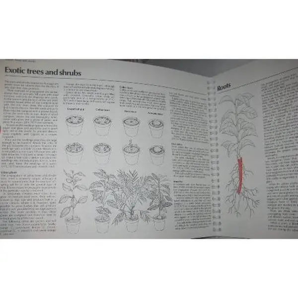 USED Book - Plant Propagation: Seeds, Roots, Bulbs and Corms, Layering, Stem Cuttings, Leaf Cuttings, Budding an by Philip McMillan Browse (Paperback) - english