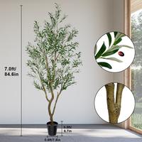 7FT 1296 leaves 54 fruits