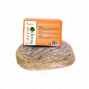 Fausta Natural Carrot Soap Hydrating Nourishing Body Bar with Carrot Extract Vitamin A 100% Natural Gentle Cleanser for Face Body 5.3 oz 150g Full Body Cleanse Deep Hydration
