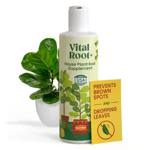 Berkland Vital Root+ Liquid Root Stimulator and Root Supplement for Fiddle Leaf Fig & Indoor Plants