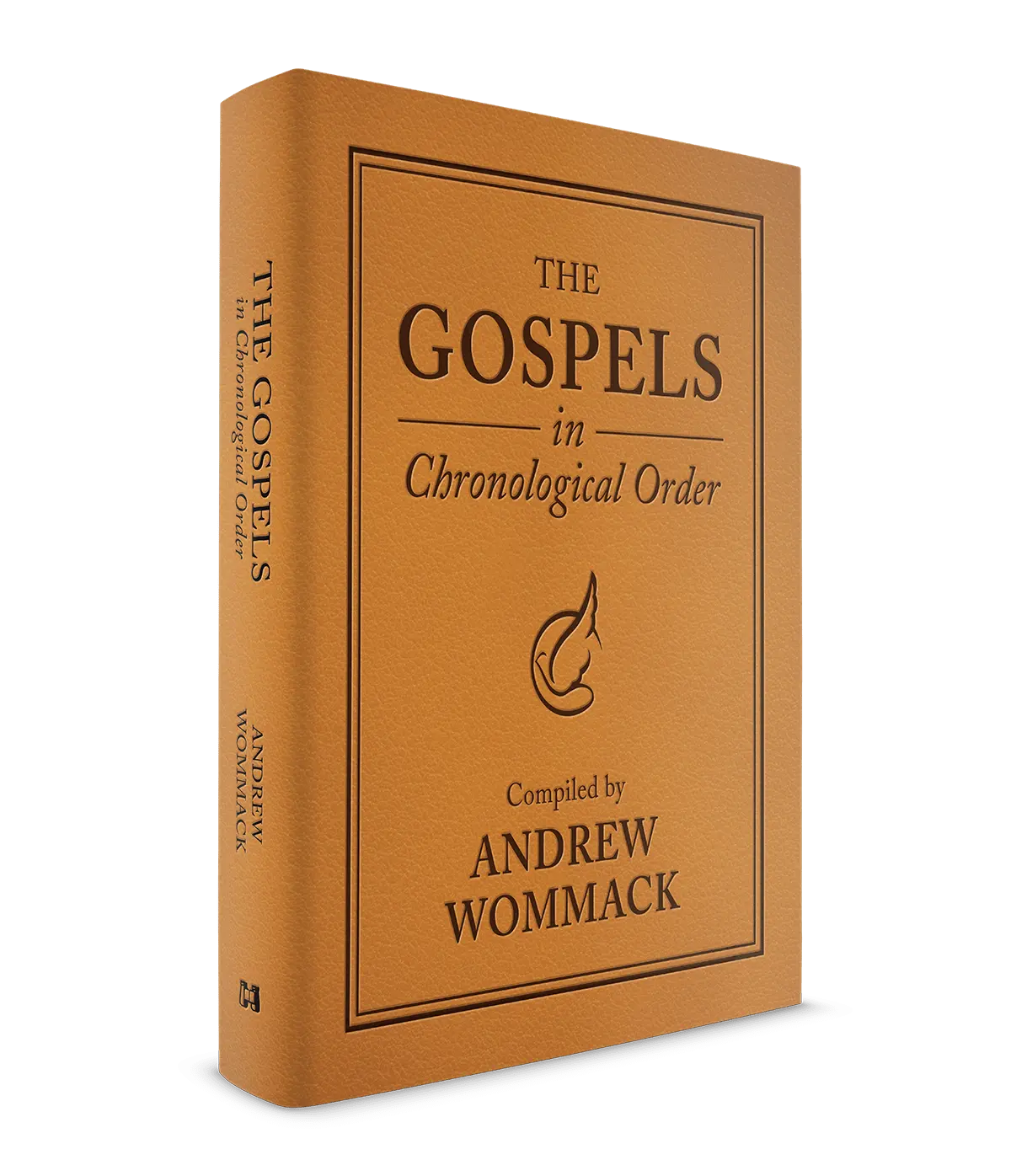 The Gospels in Chronological Order - New Testament Study Book for Personal Study