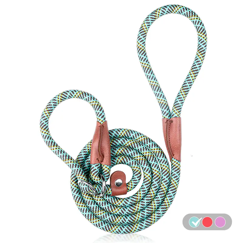 2-in-1 Heavy-Duty No-Collar Dog Slip Lead, Easy On-Off Design, 160Cm/5.2Ft Leash for Daily Walks & Active Adventures