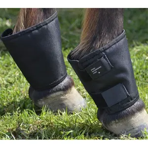 Fetlock Shield Horse Leg Protection
