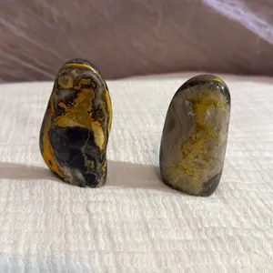 Bumblebee Jasper