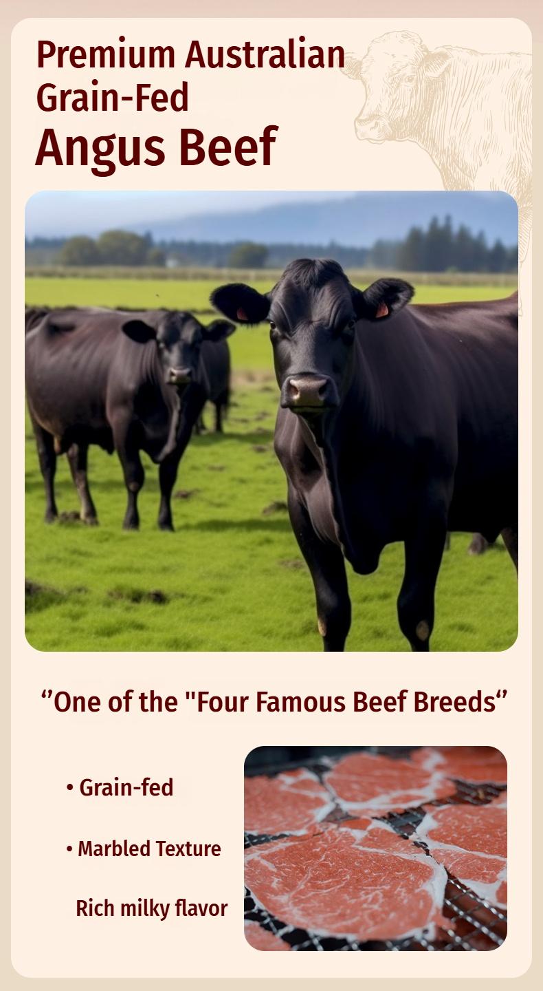 Spicy flavor High Protein Angus Beef Crisps – 54.5g Protein per 100g, Ultra Crunchy