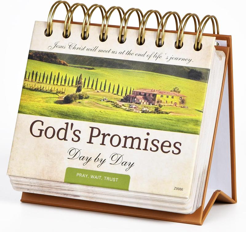 Daily Bible Quote Motivational Calendar - Undated Flip Desk Calendar with Christian Desk Decor