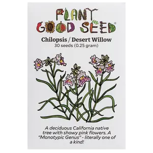 Chilopsis / Desert Willow Tree Seeds for Planting: Cold Hardy Deciduous California Native, Perennial, Showy Flowers - 30 Seed Packet