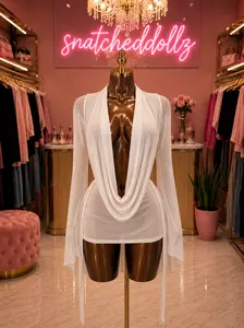 Heavenly snatched mesh dress