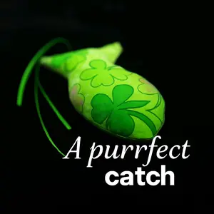 VIOLETT COLLECTION    Kitty Crinkle Toy With Cat Nip- New Themes Monthly