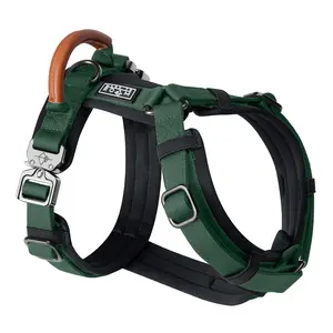Explorer Harness Explorer Harness