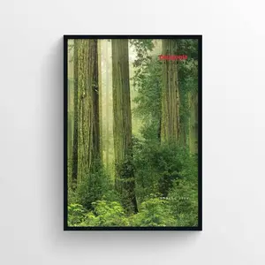 Patagonia 1989 Spring Magazine Poster