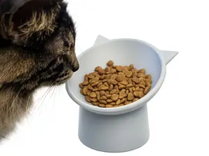 Ergonomic Tilted Cat Bowl | Better Digestion & Less Mess