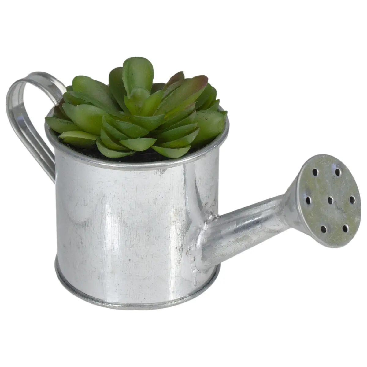 Northlight 32738483 6 in. Potted Artificial Mini Echeveria Succulent with Watering Can