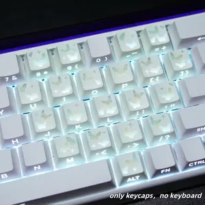 AULA 21-Key Butterfly PBT Keycaps Only, Side-Printed RGB Shine Through Keycap Set for Mechanical Keyboard, Keyboard Not Included