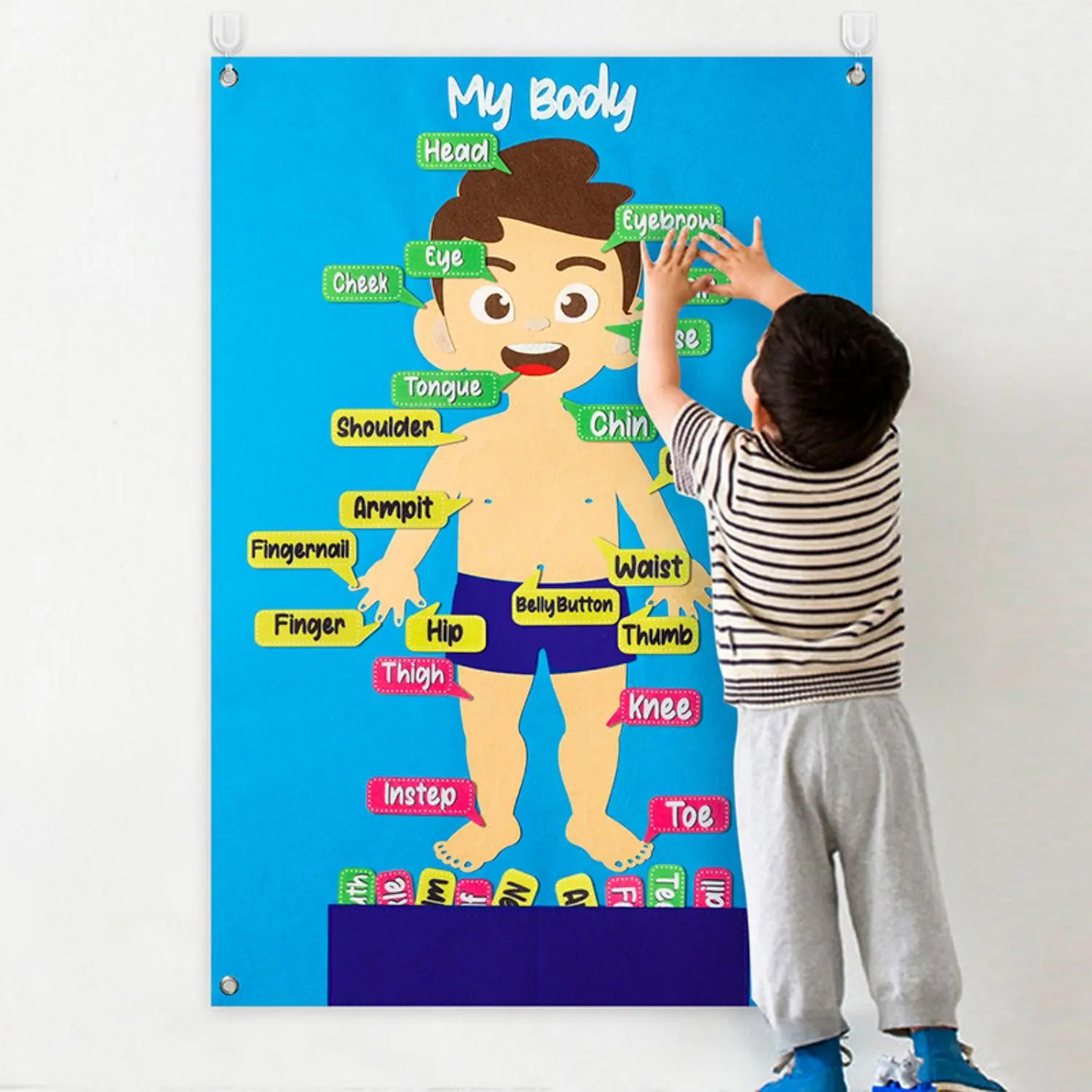 Educational Body Parts Chart, Visual Learning Tools, 35pcs/set Interactive Body Parts Board Game for Kindergarten Boy Kids, Fun Preschool Educational Gift