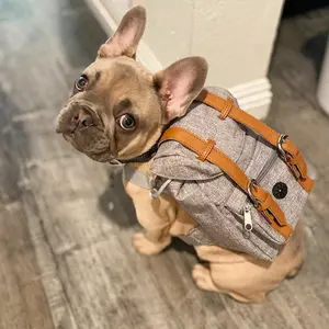 Practical Small Medium Dog Backpack, Pet Chest Harness.Suitable Alaskan Malamute, Pug, Labrador, Corgi, and other dog breeds - outdoor adventures, outings, and daily walks, making it an excellent