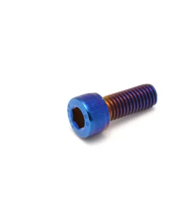 M4 M5 M6 M8 m10 Titanium plated stainless steel with burn blue screw gloden colour Hexagon Flange Head Screw bolts