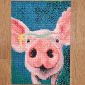 completed custom Diamond Art