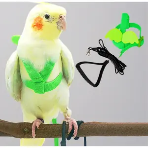 Anti-Bite Parrot Harness & Leash for Training - Adjustable Nylon Design with Cute Wing Guards. Suitable for Scarlet Macaws, Cockatoos, Mini Macaws & Similar Sized Birds (Green)