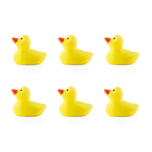 colorful duck magnets