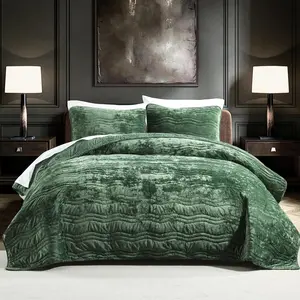 Luxury Velvet Queen Comforter Set, Green Queen Size Comforter Sets, Emerald Green Queen Bedding Set, Luxurious Plush Bedspreaqd Sets,Soft Lightweight Bedding for All Season