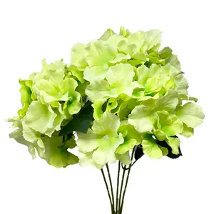David Christopher's Collection - Cypress Garden Hydrangea Bush x 5 - 19” - Green