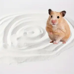 High-Quality Dust-Free Bath Sand, Small Pet Sand for Hamsters, Hedgehogs, Guinea Pigs, Super Fine Quartz Sand, Toy Enrichment & Gentle Cleaning