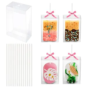 35 Pack Clear Plastic Container with Hole for Small Cakesicles, Marshmallow Square, Cake Pop, Crispy Treat Packaging Holder for Wedding Birthday Party