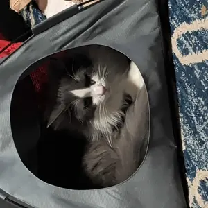 Foldable Pet Tent with Mat - Ideal for Outdoor Travel and Camping - Suitable for Cats and Dogs - Perfect Nest for Pets in All Seasons， cozy  cat  house pet  nest