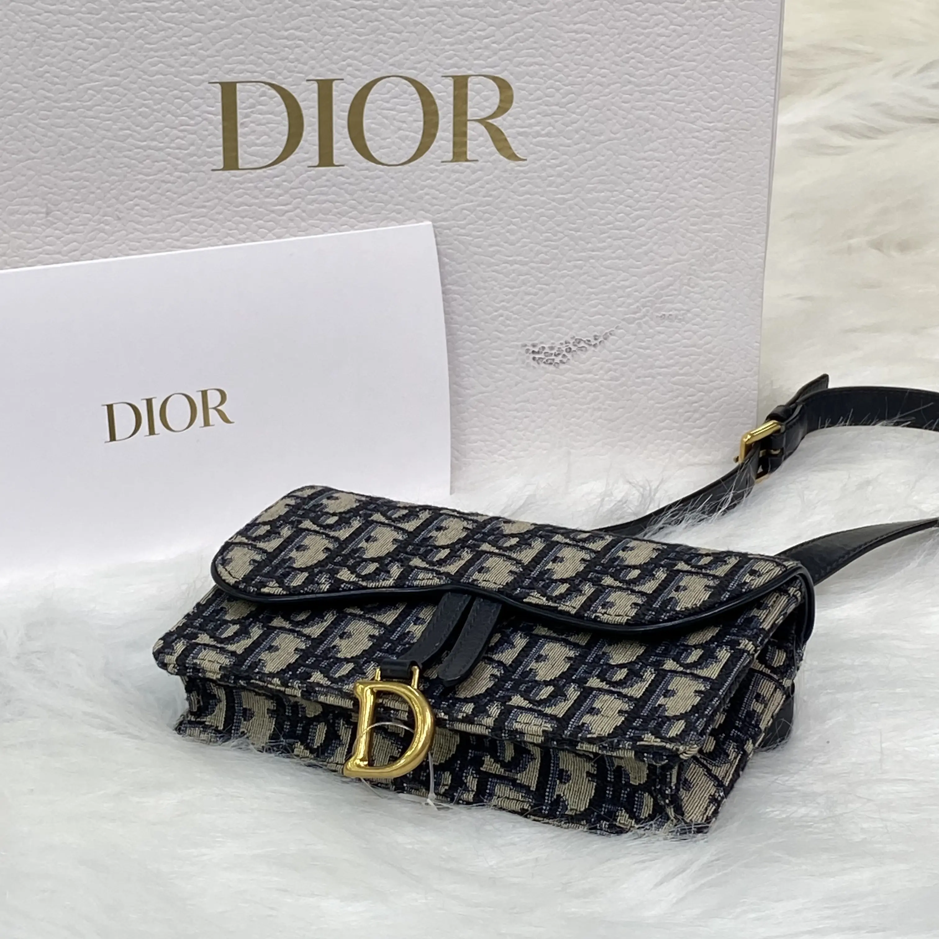 Pre-owned Dior canvas Shoulder Bags Saddle Nano Pouch (Oblique Canvas, Black/Beige)