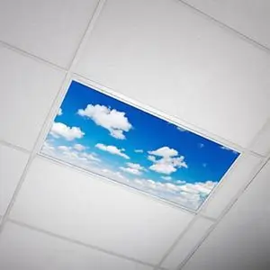 Fluorescent Light Cover - Cloud 012