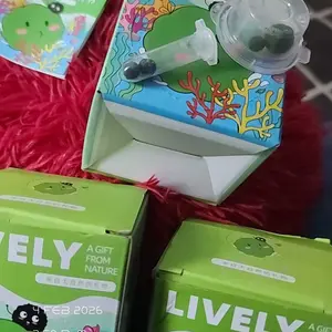 Perfume Bottle Marimo Moss Ball Habitat | Self-Sustaining Live Glass Terrarium, Low Maintenance Aquatic Desk Decor | For Mindfulness, Focus & Visual Stress Relief